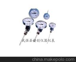 【超強防腐316材WSS-501F雙金屬溫度計】價格,廠家,圖片,溫度計,武強縣精創(chuàng)儀器儀表廠(銷售公司)-